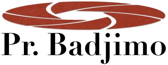 badjimo logo 1 8
